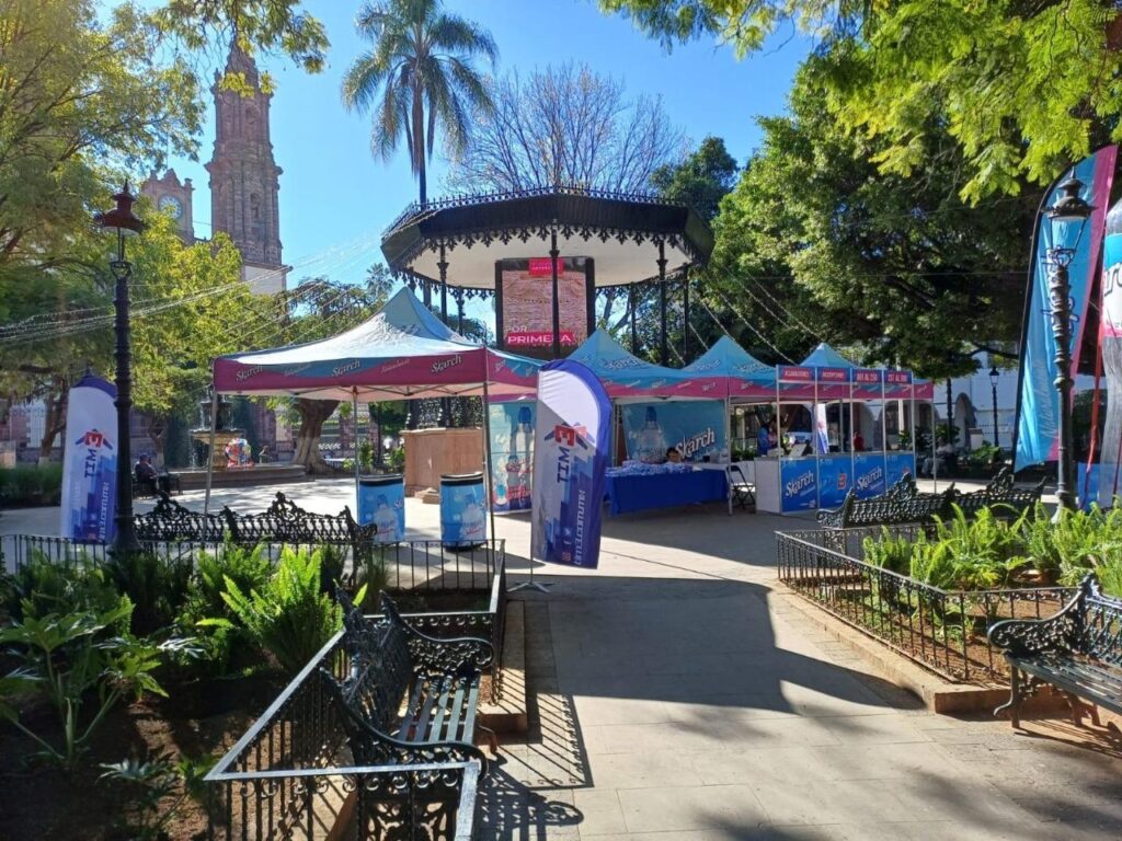 IMG 20250807 WA0007 1024x768